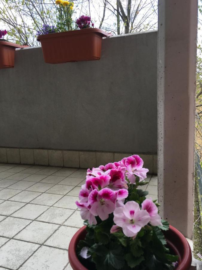 Apartamento Con Due Da Letto E Free Park